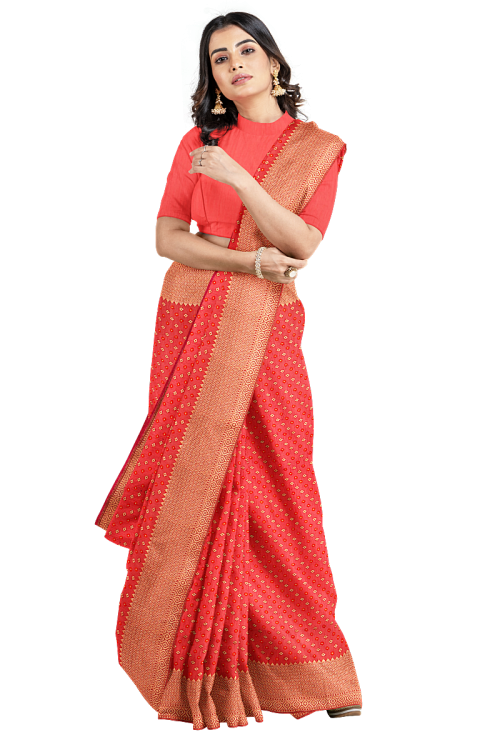 Saree Poses Stock Photos - Free & Royalty-Free Stock Photos from Dreamstime